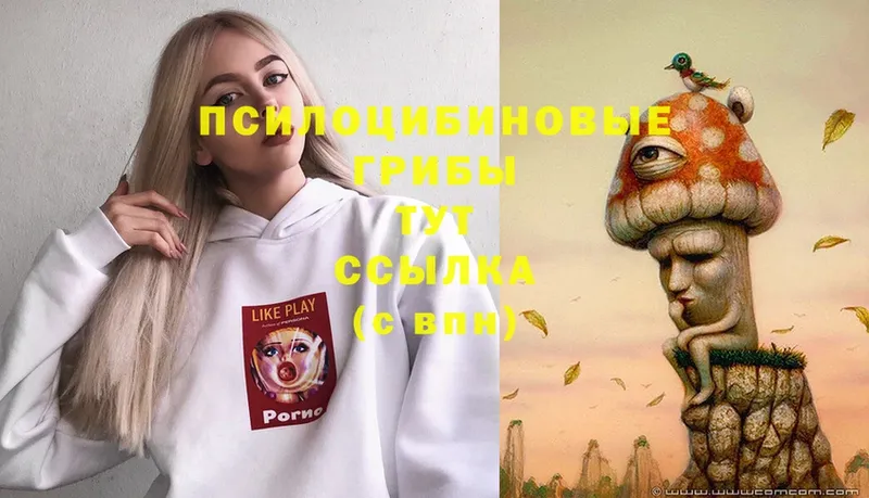 Галлюциногенные грибы Magic Shrooms  Петровск 